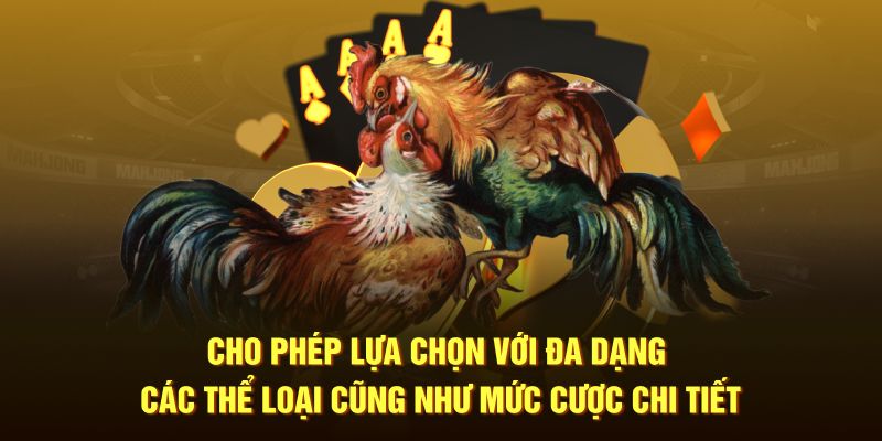 Cho phép lựa chọn với đa dạng các thể loại cũng như mức cược chi tiết